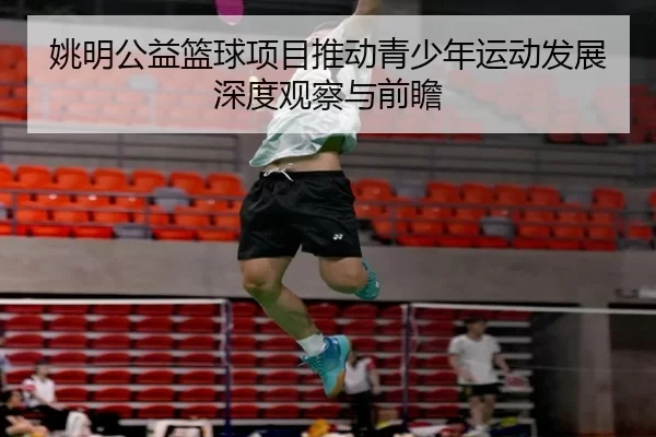 姚明公益篮球项目推动青少年运动发展深度观察与前瞻
